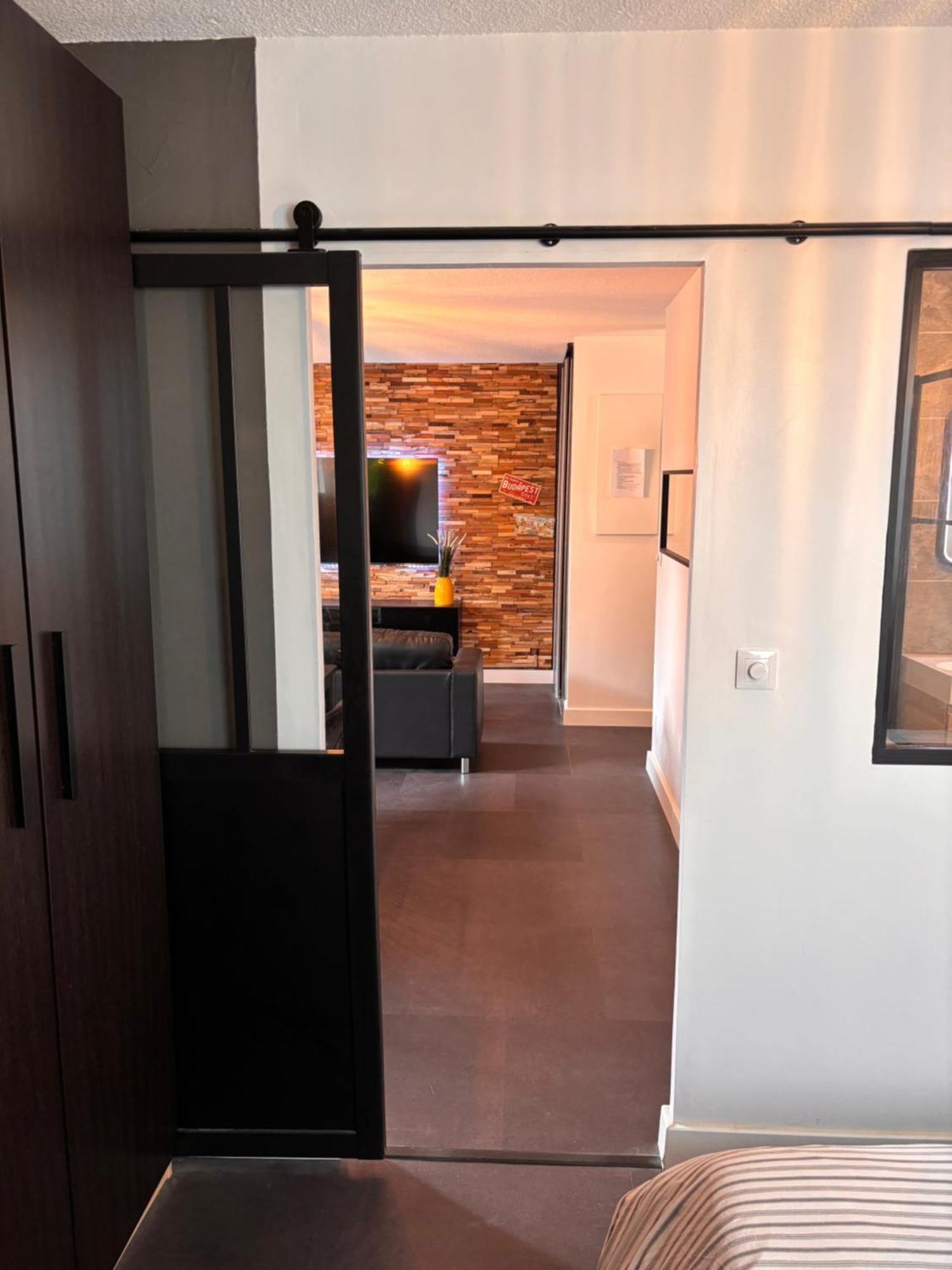 Charmant Appartement Тулуза Екстериор снимка