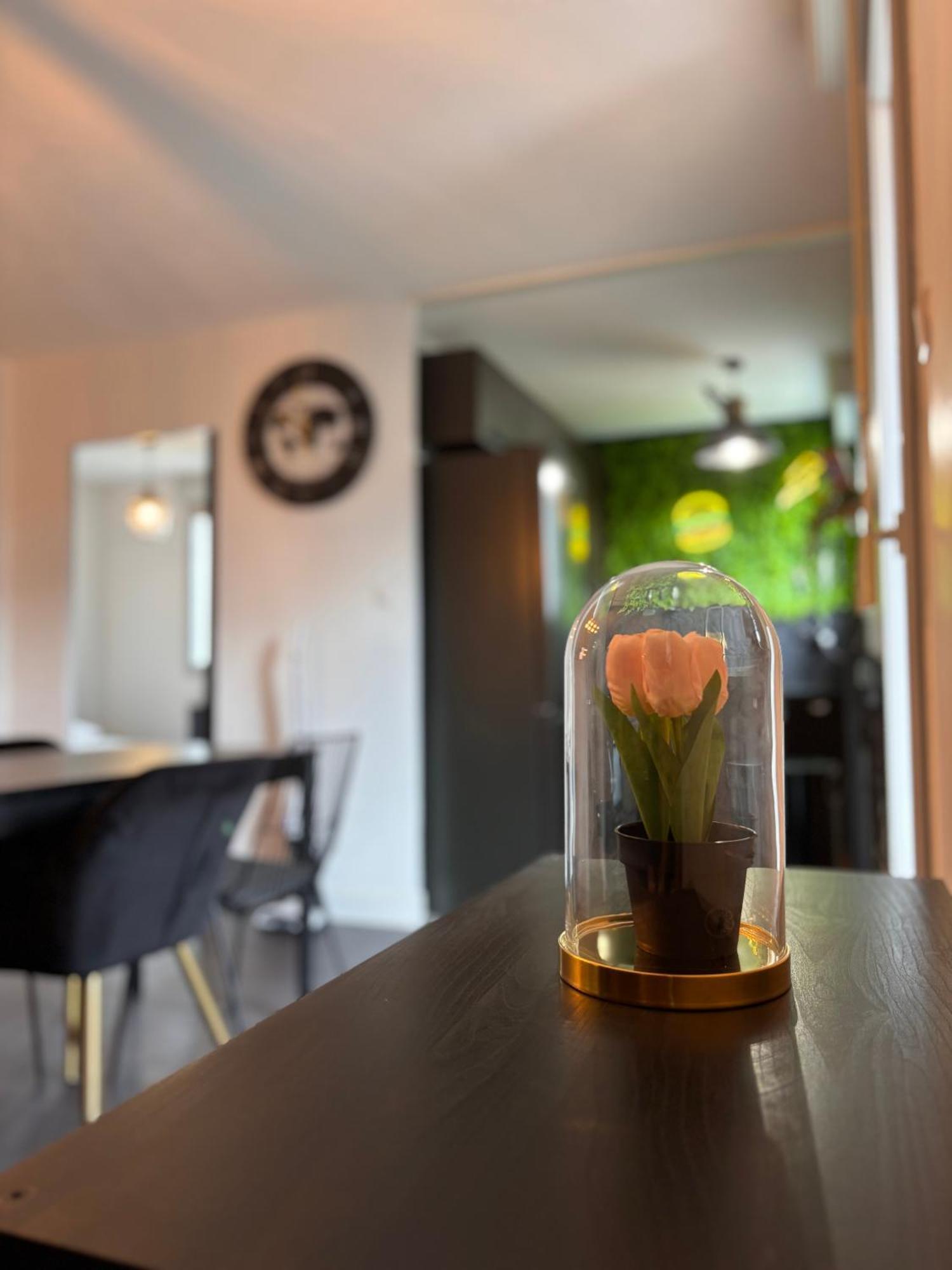 Charmant Appartement Тулуза Екстериор снимка